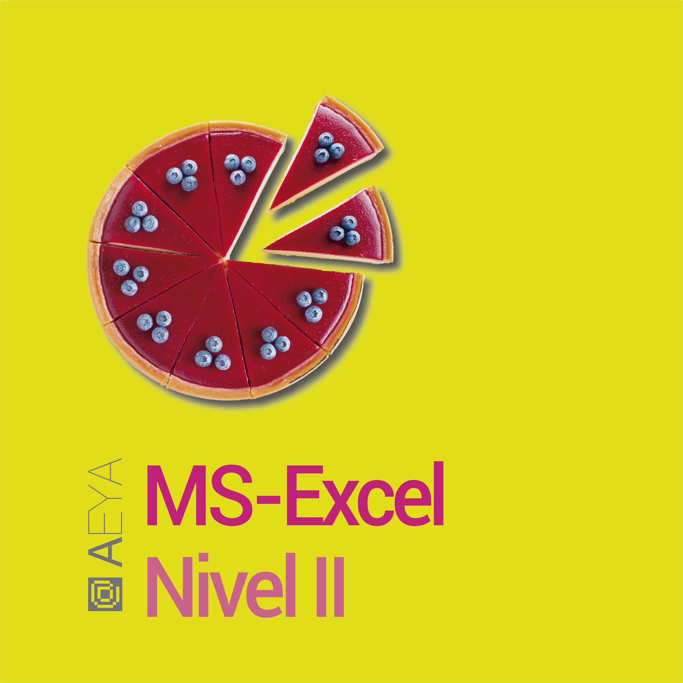 MS-Excel Nivel II